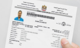 Essential Certifications for Dubai Babysitters: What Parents Should Verify