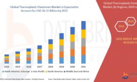 Thermoplastic Elastomers Market Opportunities: Growth, Share, Value, Size, and Scope