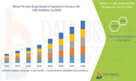 Tinnitus Drug Market Demand: Growth, Share, Value, Size, and Insights
