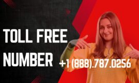How to Resolve Metamask Login Issues – Contact Metamask Wallet Support Number for Quick Help