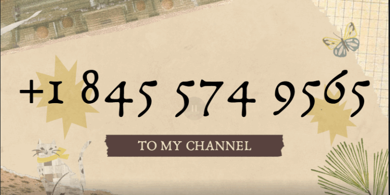 Read more about the article 15 Easy Ways Contact Metamask Support Number 24/7 Assitance??