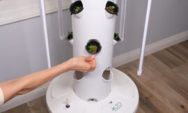 Transform Your Indoor Gardening with a Hydroponic Tower and Germination Light