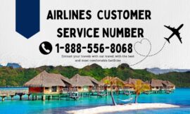 Ways To Call Expedia Customer Service By Phone Number, Chat and Emails Options: Step-by-Step Guide