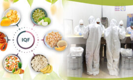 Top 6 Trending IQF Fruits in Global Food and Beverage Industry