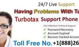 2 Ways to Service Reach Turbo Tax Customer by Number, Step to describe Guide United States (USA)