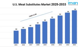 U.S. Meat Substitutes Market Share, Industry Demand And Report 2025-2033