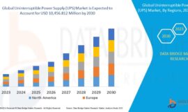 Uninterruptible Power Supply (UPS) Market Opportunities: Growth, Share, Value, Size, and Scope