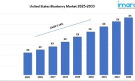 United States Blueberry Market Demand and Forecast Analysis 2025-2033