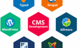 Custom CMS Development in UK – Scalable, Secure, and Tailored Solutions