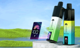 Beginner’s Guide to Hayati Pro Max Plus 6000 Vape