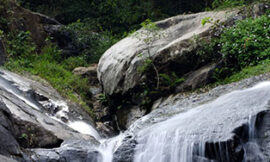 Tours And Travels in Madurai