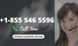 11 Ways to Communicate with Southwest Airlines Customer Service via Phone, Email, or Chat Options: A Step by Step Guide
