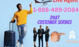 Ultimate Ways to Reach Priceline Customer Services via Phone Number, Email & Live Chat and other Options: A Complete Guide