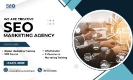 Seo Free Professional Training in Laxmi Nagar