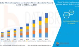 Wireless Headphones and Earphone Market: Insights and Competitive Analysis