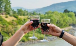 Savor the Experience: The Art of Wine Tours and World-Class Wineries