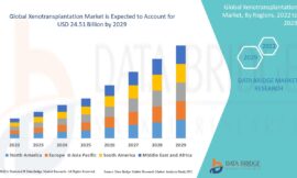 Xenotransplantation Market Size, Share, and Growth Opportunities