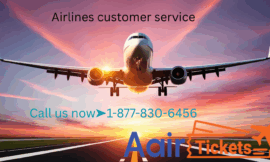 Ways to Call viva aerobus Customer Service via Phone, Email, or Chat Options: Full Step by Step Guide