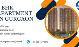 3 BHK Apartment in Gurgaon – Sapient Realty