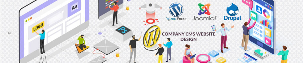 CMS-Website-Design (3)