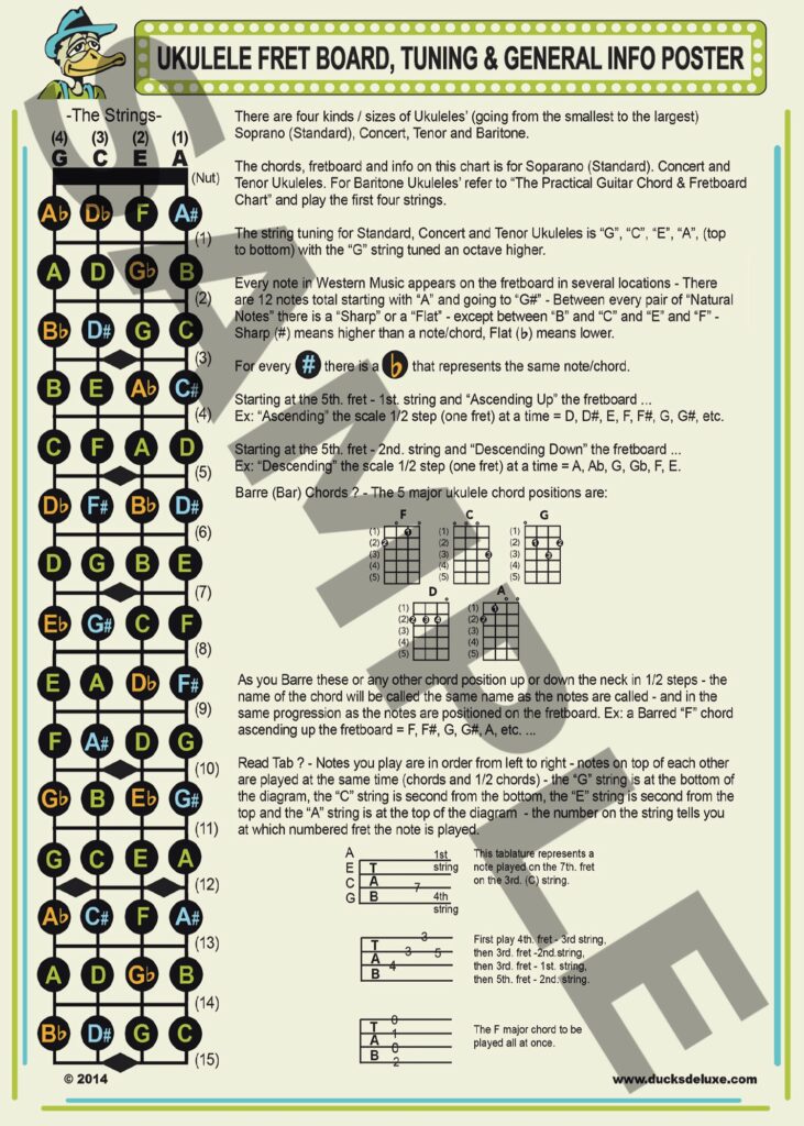 UKULELE-FRETBOARD-POSTER-5-X7-SAMPLE