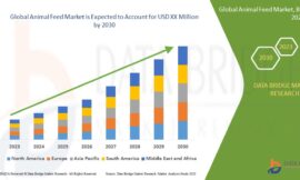 Animal Feed Market Size, Share, and Trends is expected to reach USD 328.36 billion by 2032