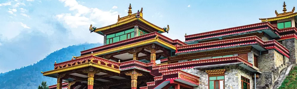 User banner image
