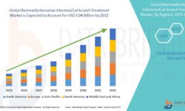Bartonella Henselae Infection / Cat Scratch Treatment Market Graph: Growth, Share, Value, Size, and Insights