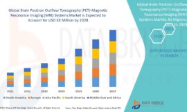 Brain Positron Outflow Tomography (PET)-Magnetic Resonance Imaging (MRI) Systems Market Companies: Growth, Share, Value, Size, and Insights