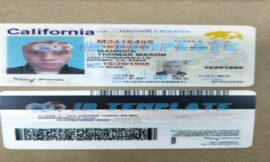 Driving License Generator Guide to Making Fake Driver License ID