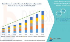 Electronic Medical Records (EMR) Market Challenges: Growth, Share, Value, Size, and Scope