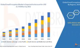 Email Encryption Market Revenue Forecast: Growth, Share, Value, and Trends