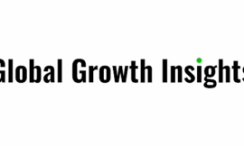 Data Labeling Solution And Services Market Overview 2033: Size, Growth, and Strategic Insights
