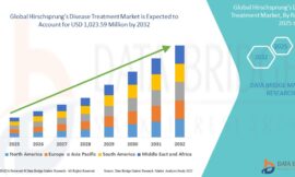 Hirschsprung’s Disease Treatment Market Opportunities: Growth, Share, Value, Size, and Scope