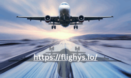 Flighys is simplifying air travel for the modern generation