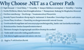 Top Reasons to Choose .NET as a Career Path | Scholar Hat