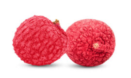 Discover the Delicious World of Freeze Dried Litchi and Freeze Dried Food