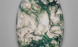 Beauty and Serenity Meet Inside the Adorable Moss Agate Gemstone Tree