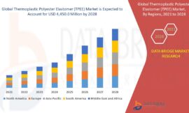 Thermoplastic Polyester Elastomer (TPEE) Market Trends: Growth, Share, Value, Size, and Analysis