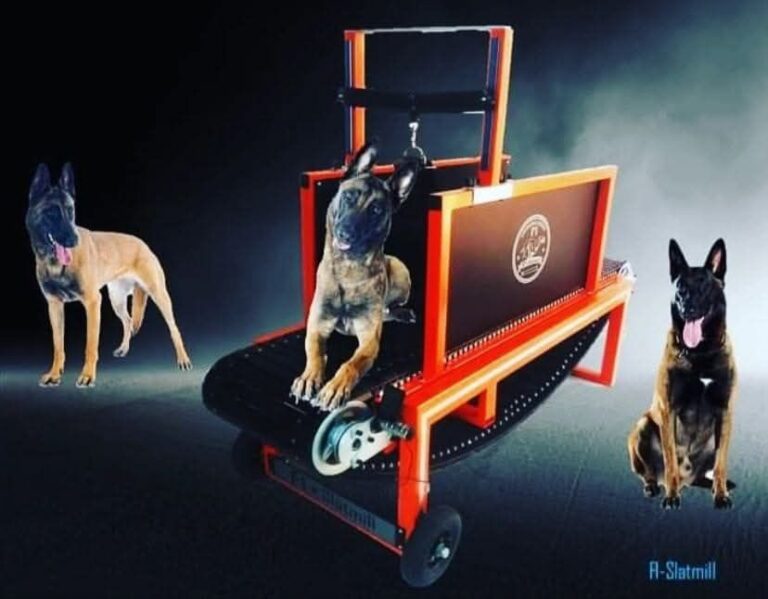 Read more about the article Dog Treadmill for sale at treadmillfordogs.com
