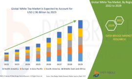 White Tea Market Trends, Challenges, and Forecast to 2032