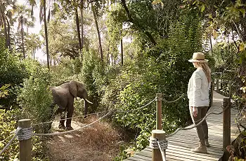 Hot Air Balloon Adventures Await African Travel