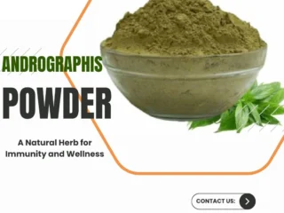 Andrographis-powder