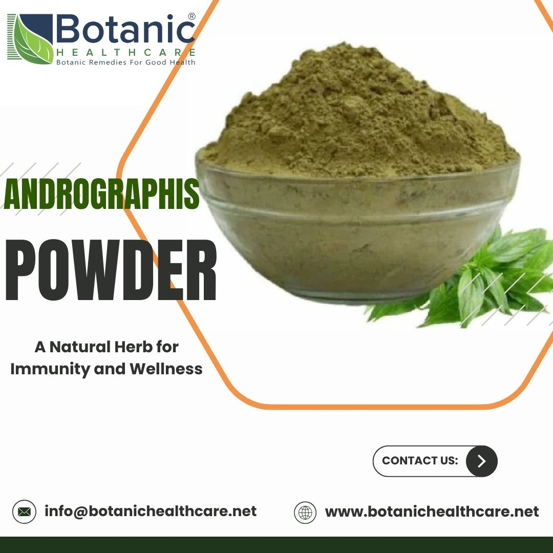 Andrographis Powder – Natural Herbal Ingredient for Immunity Support