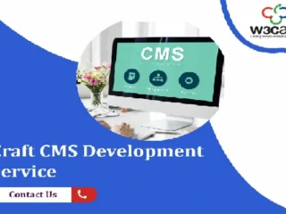 Upgrade-Craft-CMS-development-companyddd