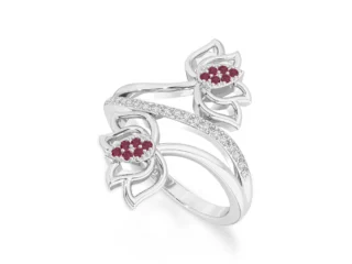 image-1_d4d370d4-fa22-48db-bb2f-29594ff19ab2