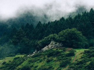 naturegreenaesthetic-2