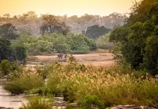 11_Day_South_Africa_Self_Drive_Tour_AO_webp_40cd750bba9870f18aada2478b24840a