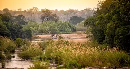 Gayatri Financial Services