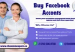 What Are the Best Providers to Buy Aged Facebook Accounts?